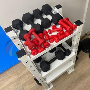 Купить Модульный стеллаж для гантелей, гирь  600х470х1160 в Кедровом 